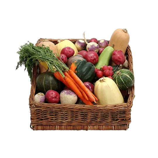 Korb mit Obst und Gemüse gefüllt