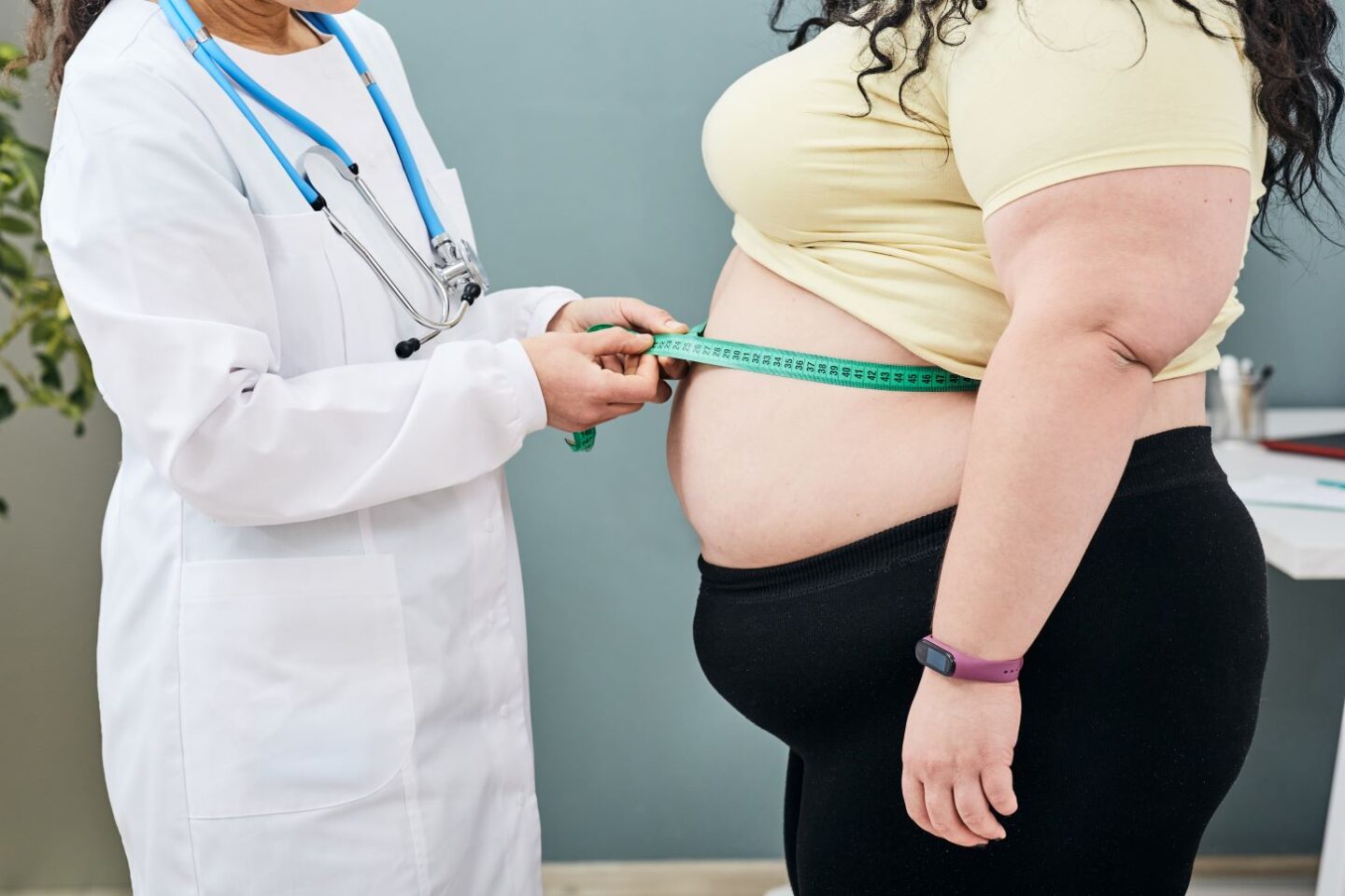 Obesidad: grados y riesgos para la salud | BIOMES