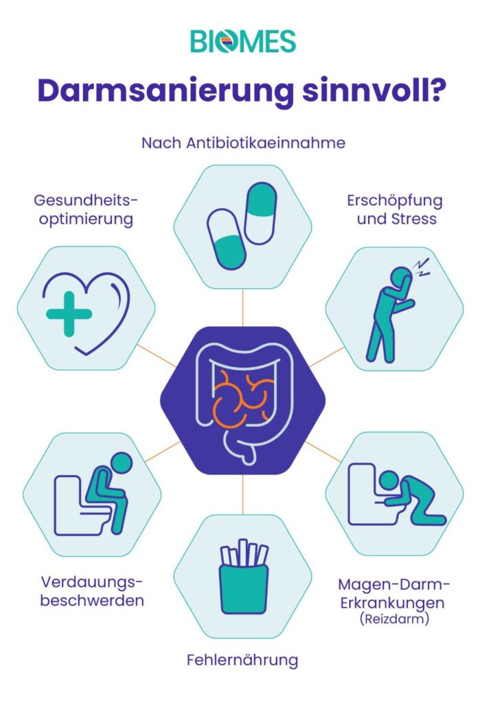 Infografik mit sechs Situationen, in denen eine Darmsanierung sinnvoll sein kann. Genannt werden Antibiotikaeinnahme, Stress, Magen-Darm-Erkrankungen, Fehlernährung, Verdauungsbeschwerden und Gesundheitsoptimierung.