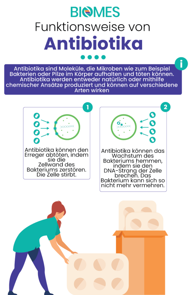 Darstellung zwei Wirkweisen von Antibiotika (Angriff Antibiotikum an Zellwand oder DNA-Strang) plus Darstellug einer Frau mit einer Tabletten Verpackung 