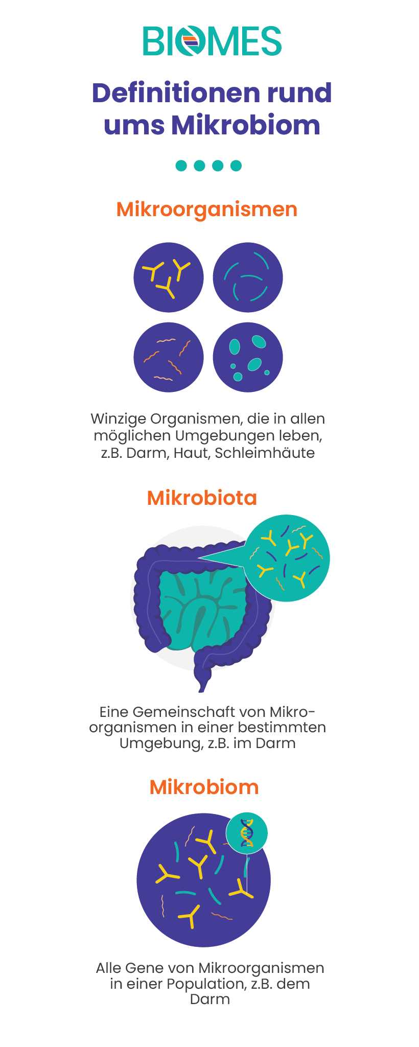 Definitionen rund ums Mikrobiom